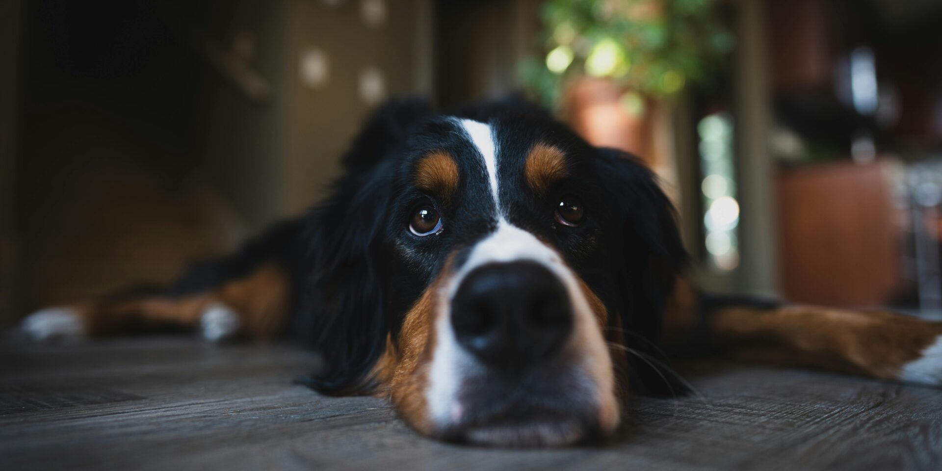 pexels-andrew-nevins-111152488-9996100