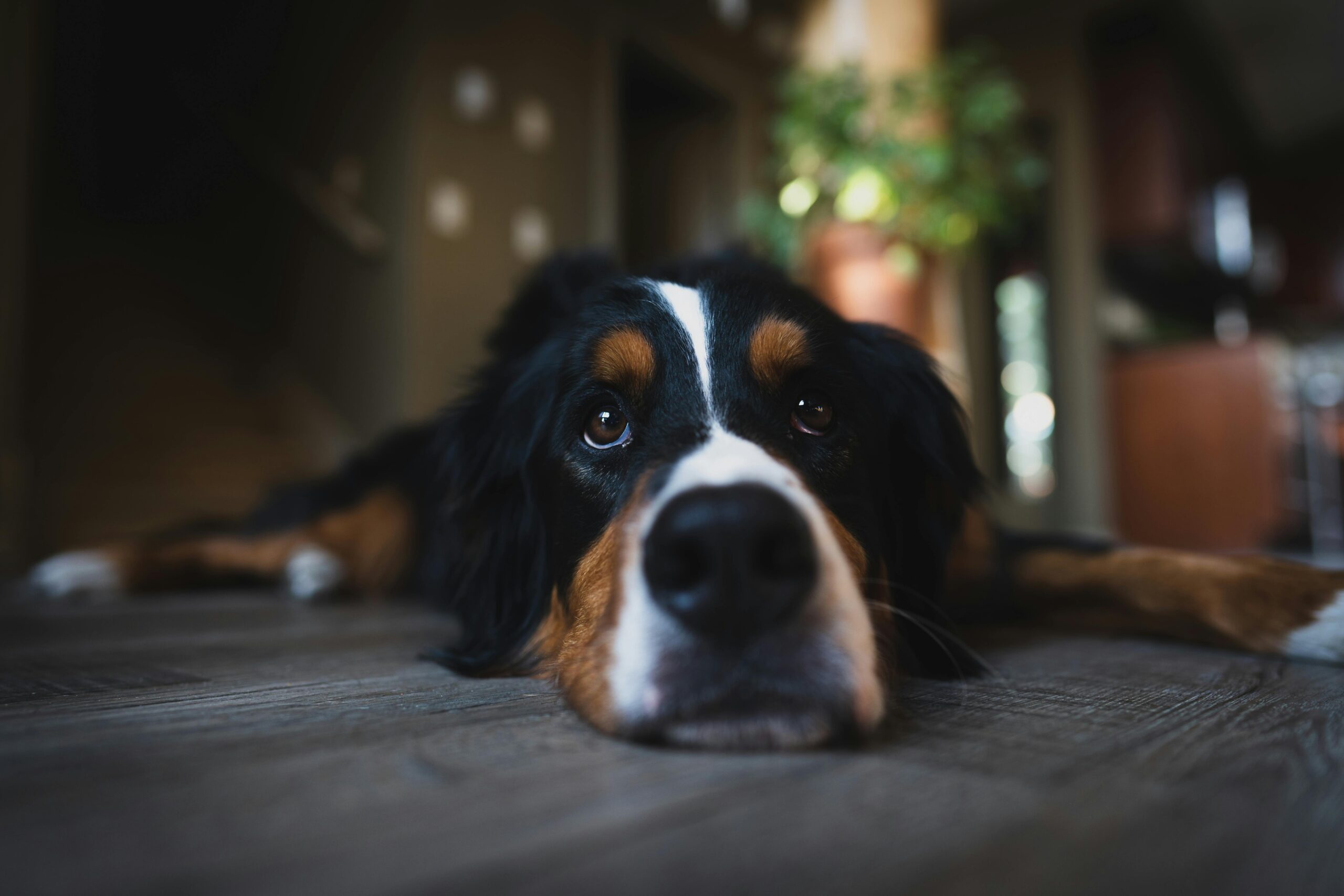 pexels-andrew-nevins-111152488-9996100