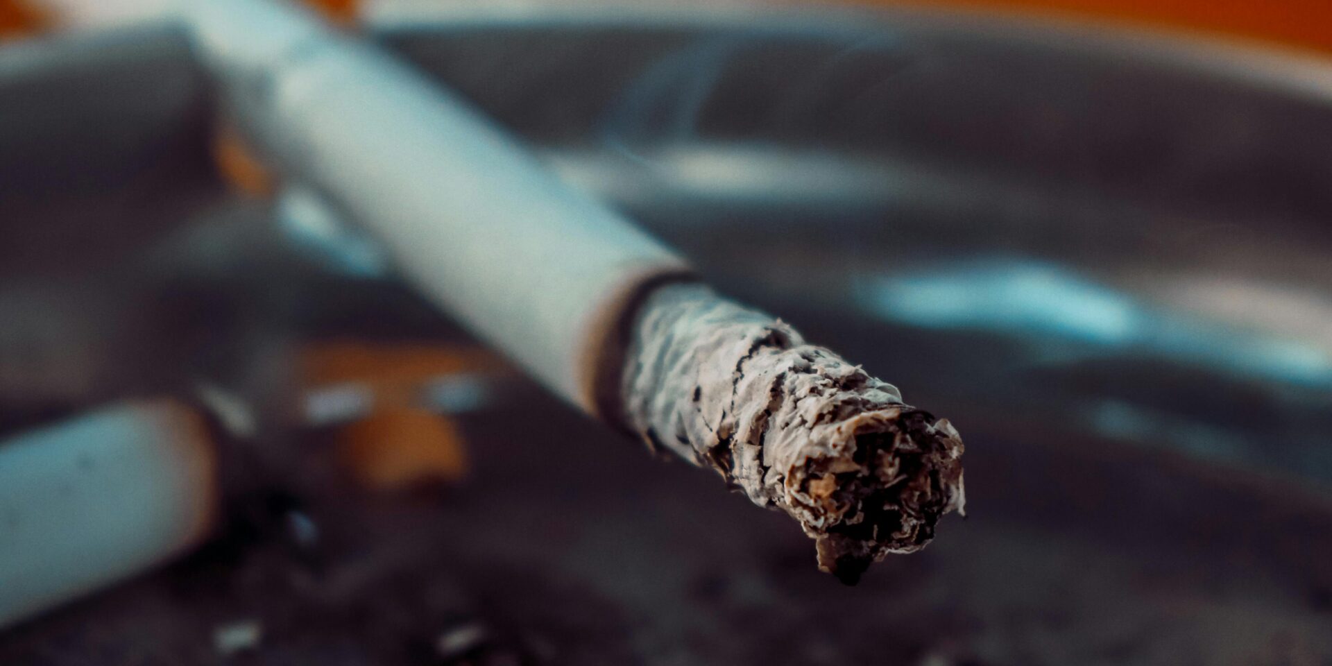 pexels-erdem-orhan-100263465-9393467