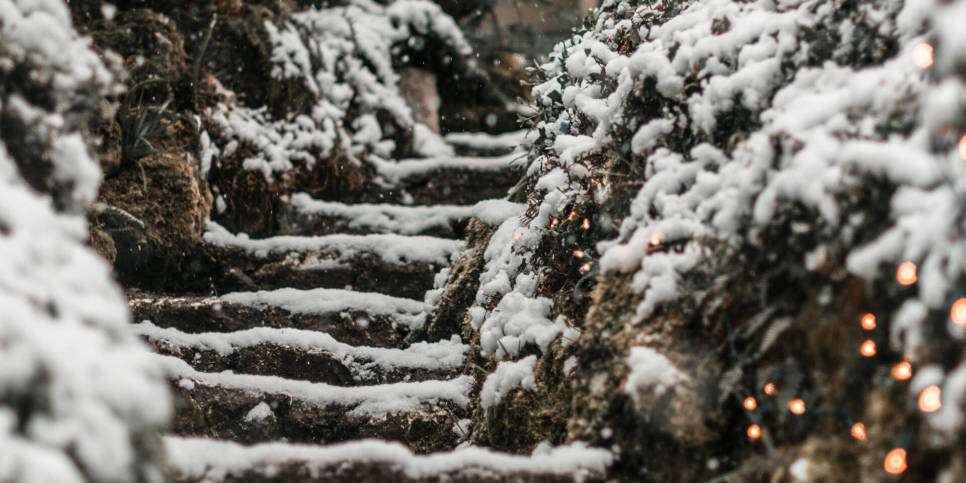 pexels-luis-ruiz-14623551