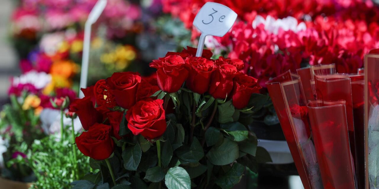 Zagreb: Gradska svakodnevica u središtu grada