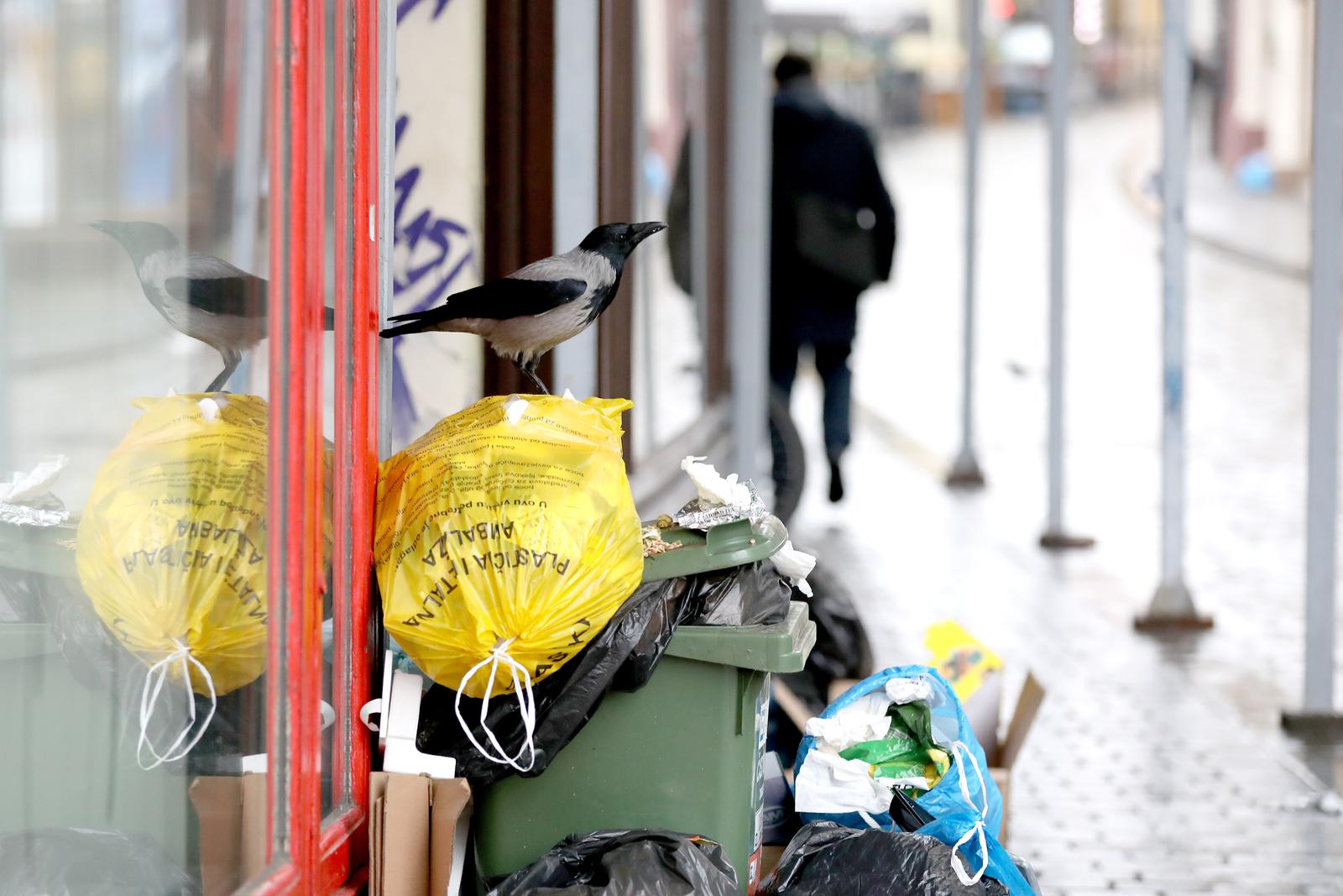Zagreb: Smeće na ulicama veseli jedino vrane