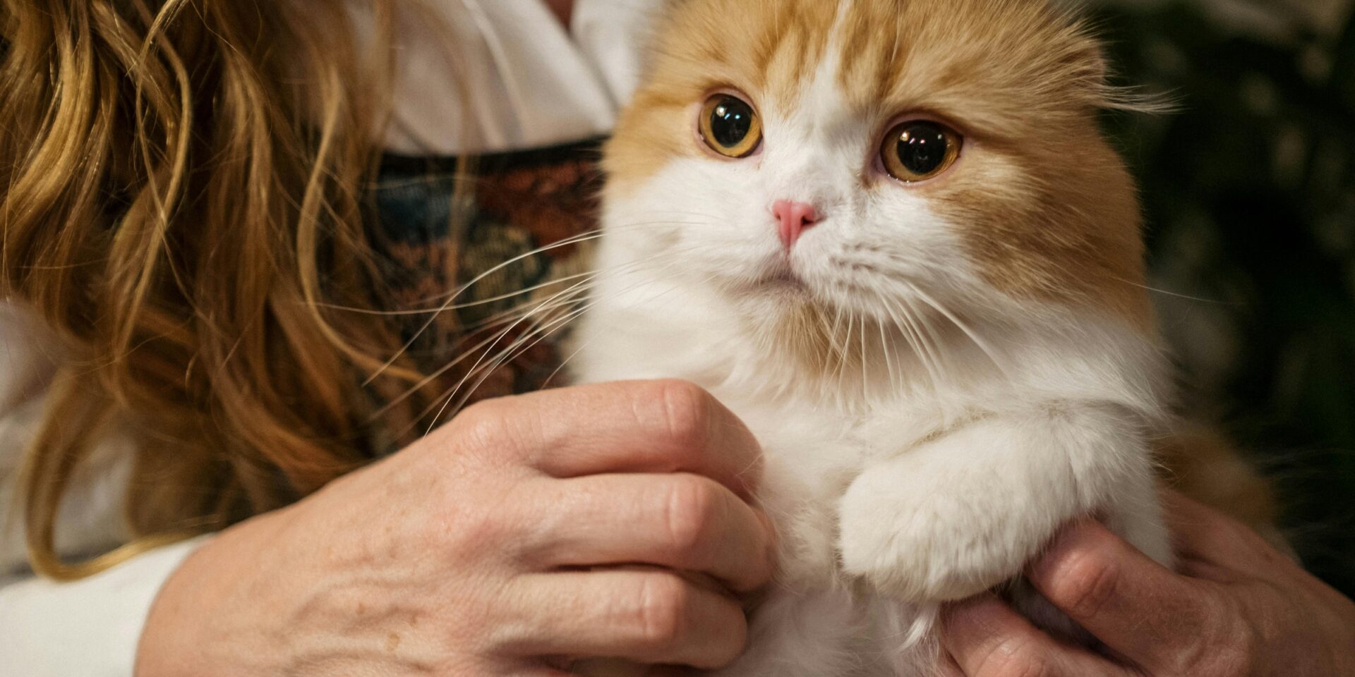 pexels-cottonbro-6869559