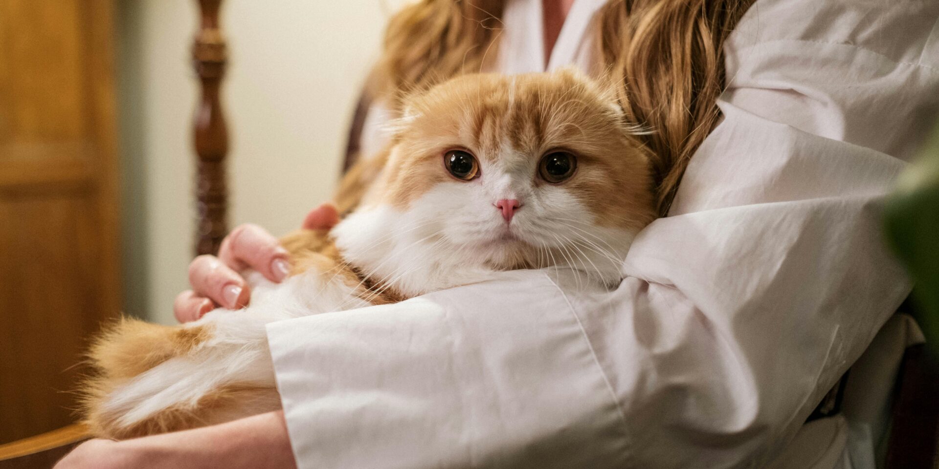 pexels-cottonbro-6869635