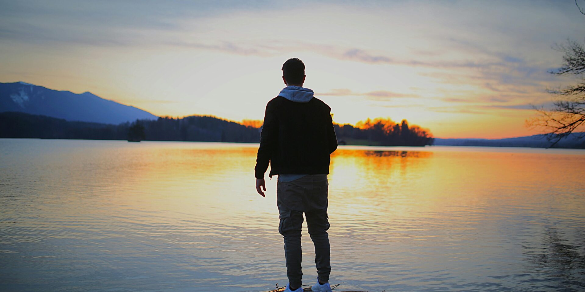 pexels-pripicart-516927