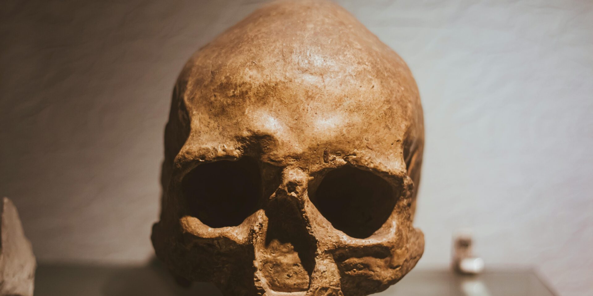 pexels-ranjit-pradhan-943095-12520333