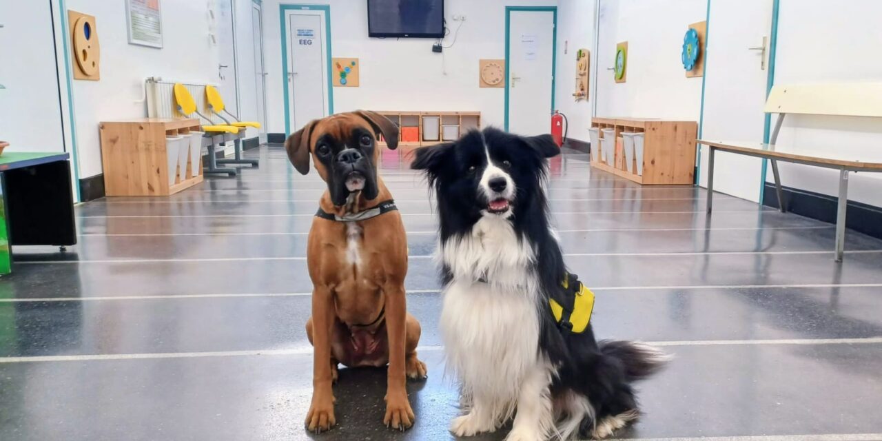 503510055_1135210268411629_7071138871052244659_n