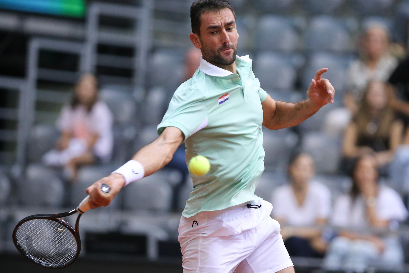 marin čilić