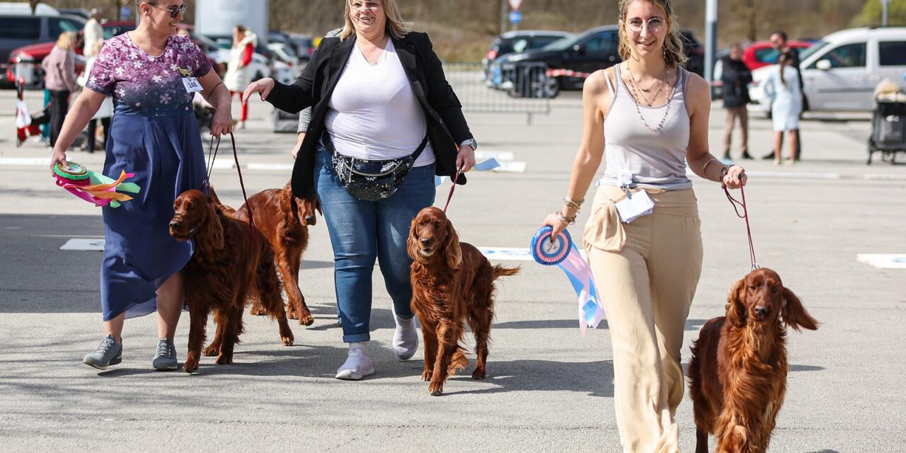 Zaprešić: Ispred Wesgatea održana međunarodna izložba pasa