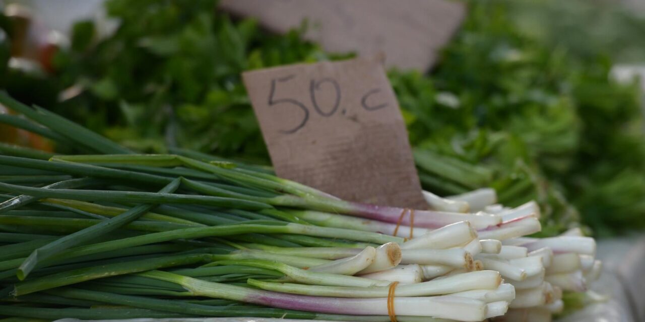 �ibenik: Subotnje jutro na gradskoj tr�nici uo?i Bo�i?a