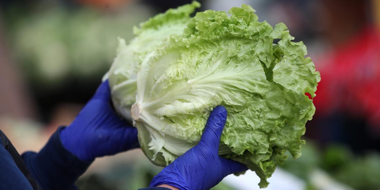 Tržnica Dolac uoči blagdana