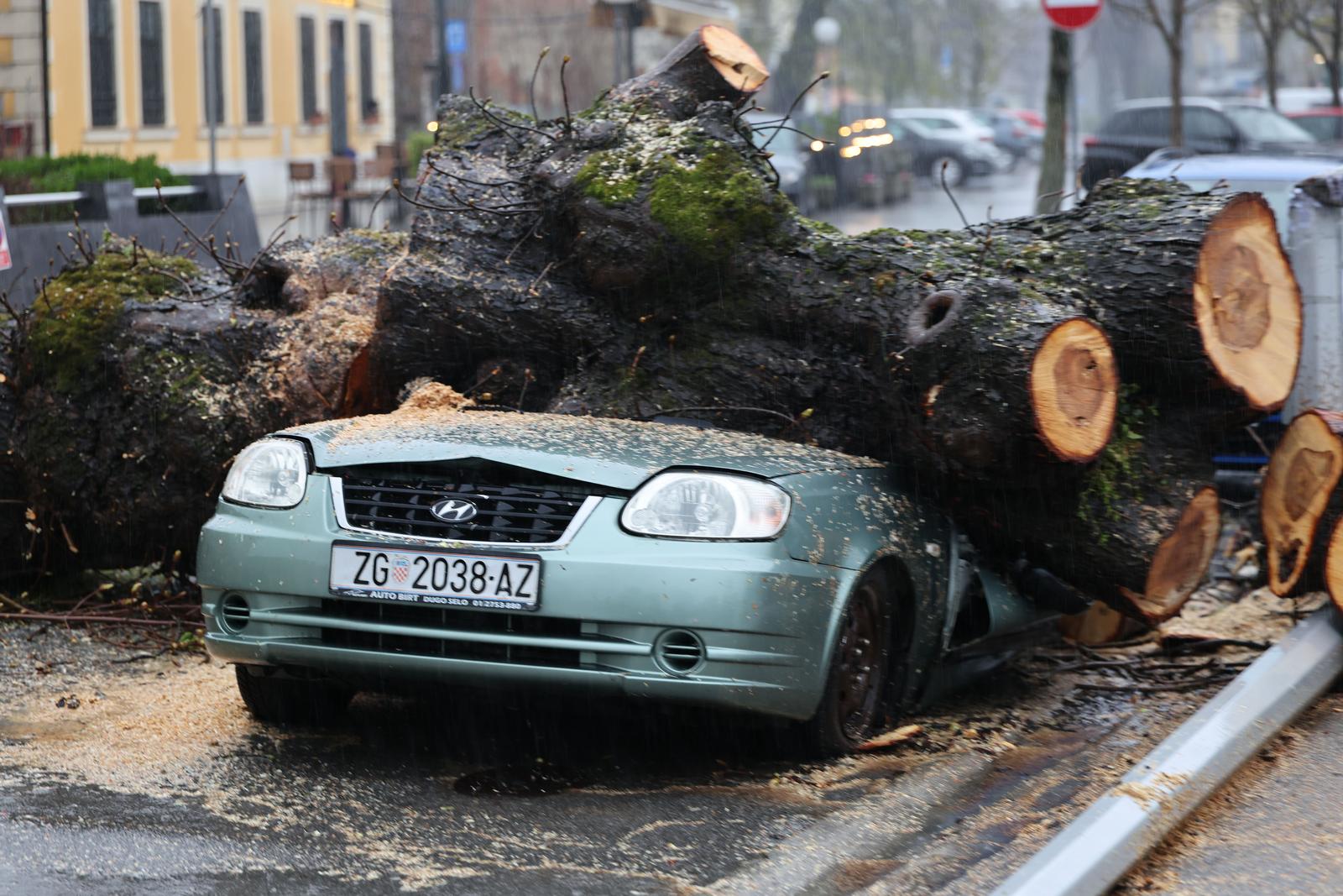 Zagreb: Nevrijeme srušilo stablo koje  je palo na automobil