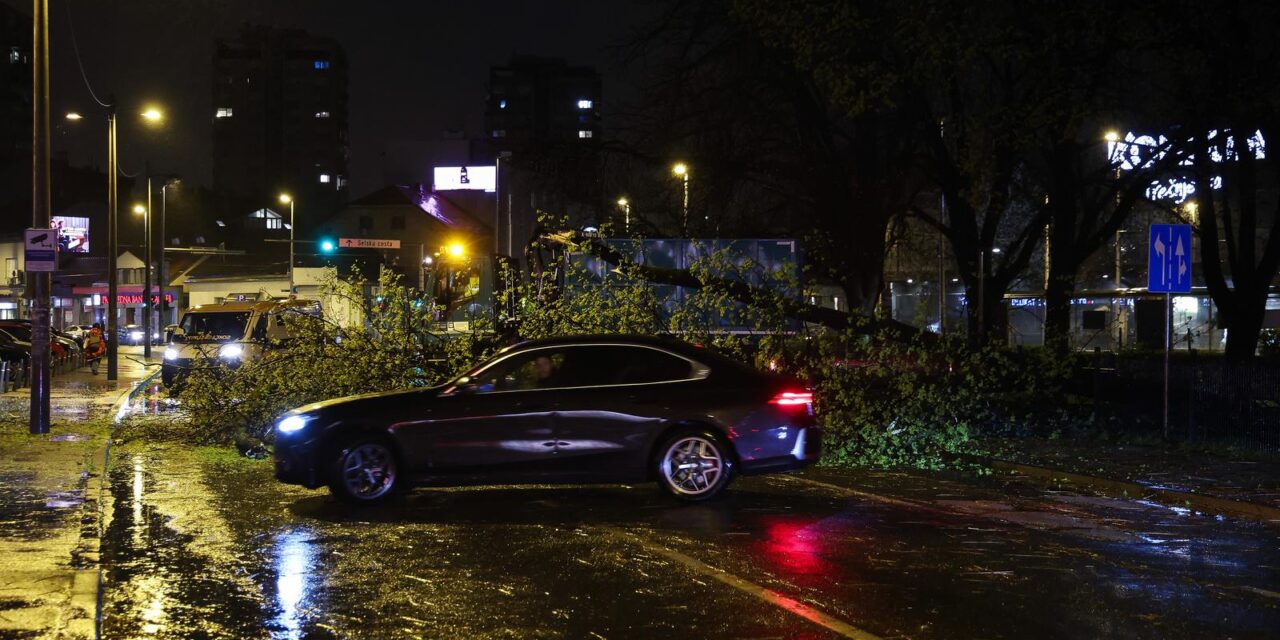Zagreb: Promet kod Trešnjevačkog placa obustavljen nakon pada stabla