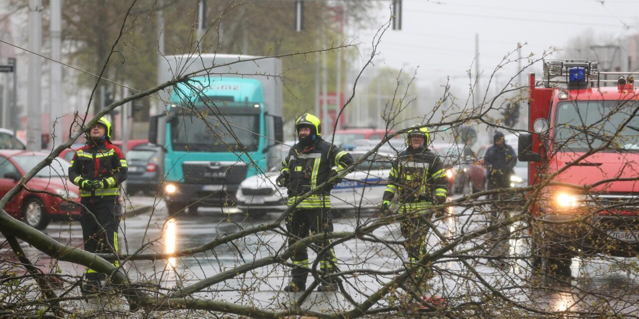Zagreb: Zatvorena Vukovarska ulica  u smjeru zapada radi uklanjanja stabla