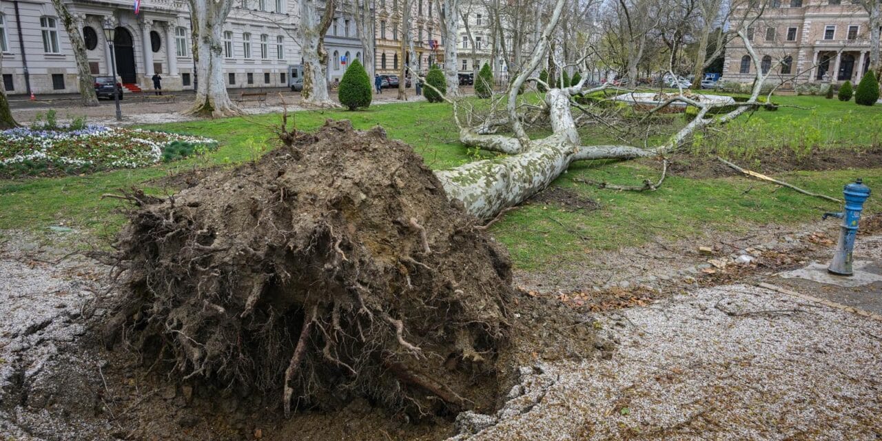 Zagreb: Posljedice nevremena na Zrinjevcu