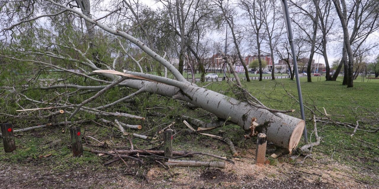 Zagreb: Olujno nevrijeme počupalo stabla na Bundeku