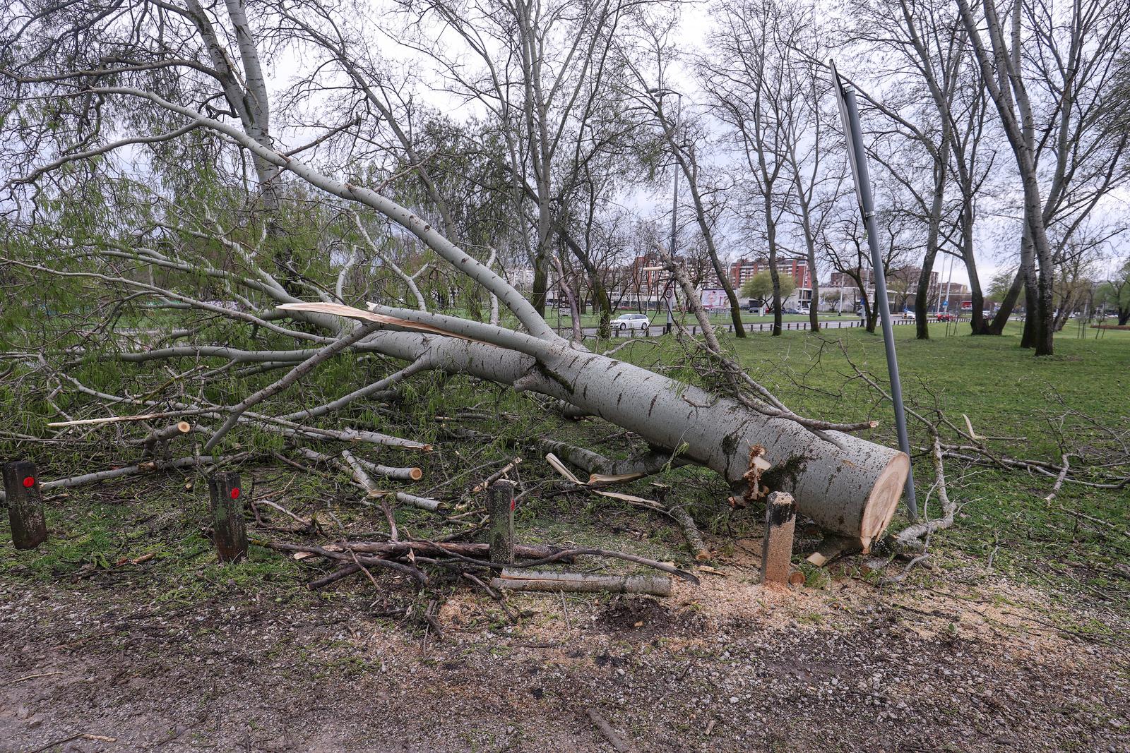Zagreb: Olujno nevrijeme počupalo stabla na Bundeku
