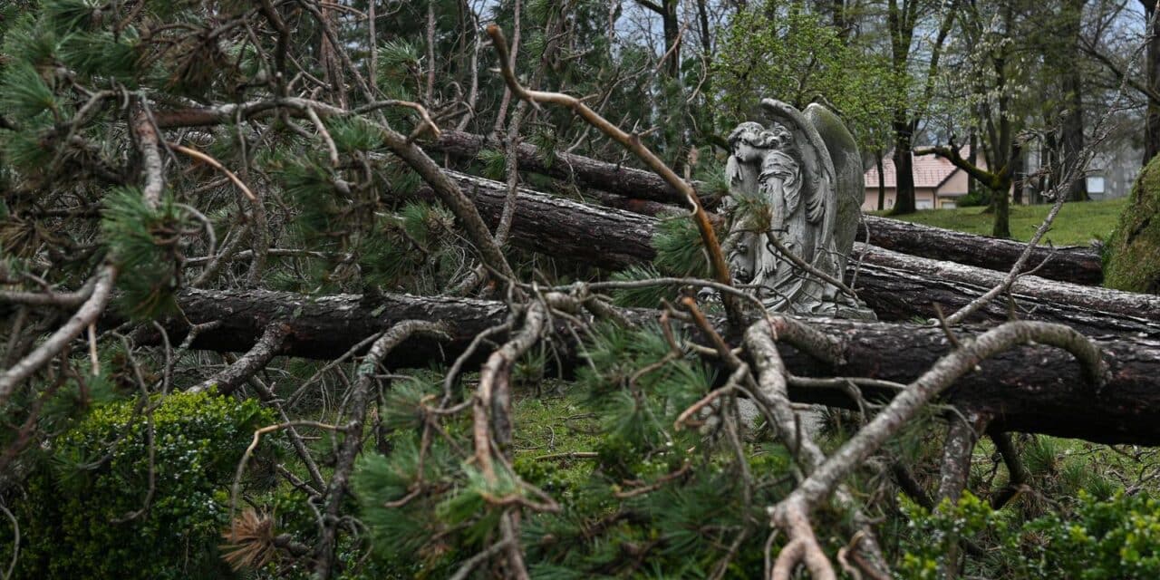 Zagreb: U nevremenu teško  oštećeno gradsko groblje Mirogoj