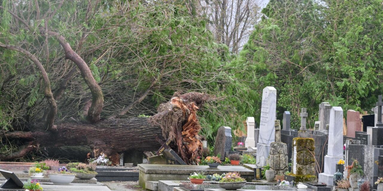 Zagreb: Teško oštećeno gradsko groblje Mirogoj