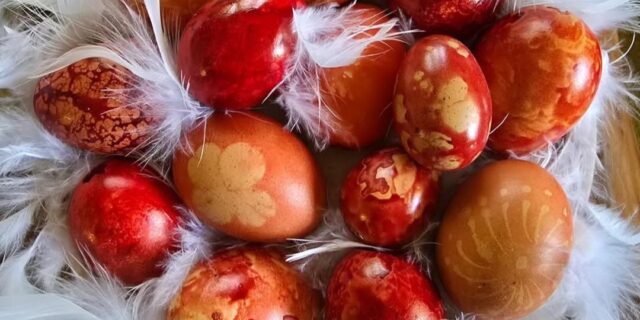 Screenshot_20260302_150551_Instagram