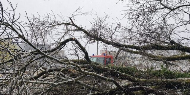 img-20260327-wa0014.jpg__648x432_q85_crop_subsampling-2_upscale