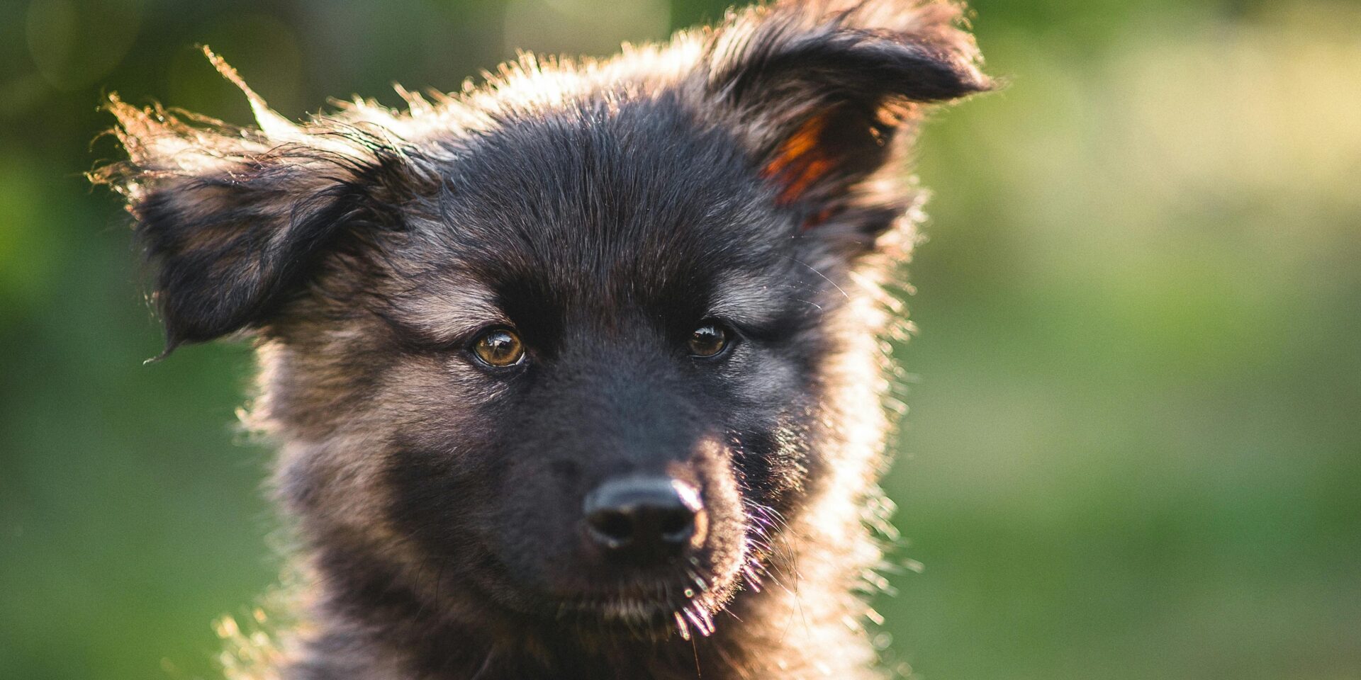 pexels-88107820-9983475