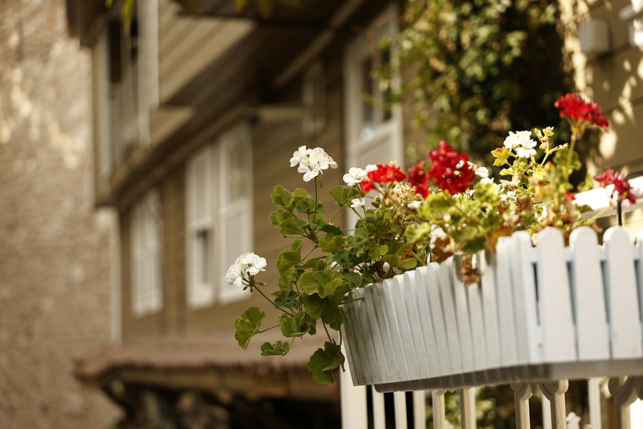 pexels-bayram-yalcin-86843184-33906628