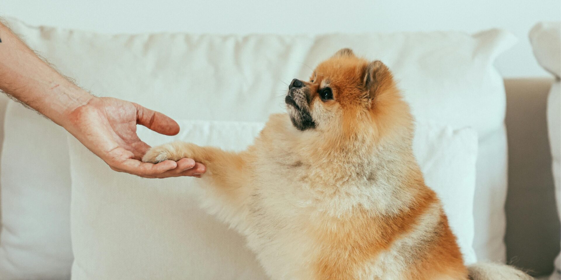 pexels-cup-of-couple-8473725