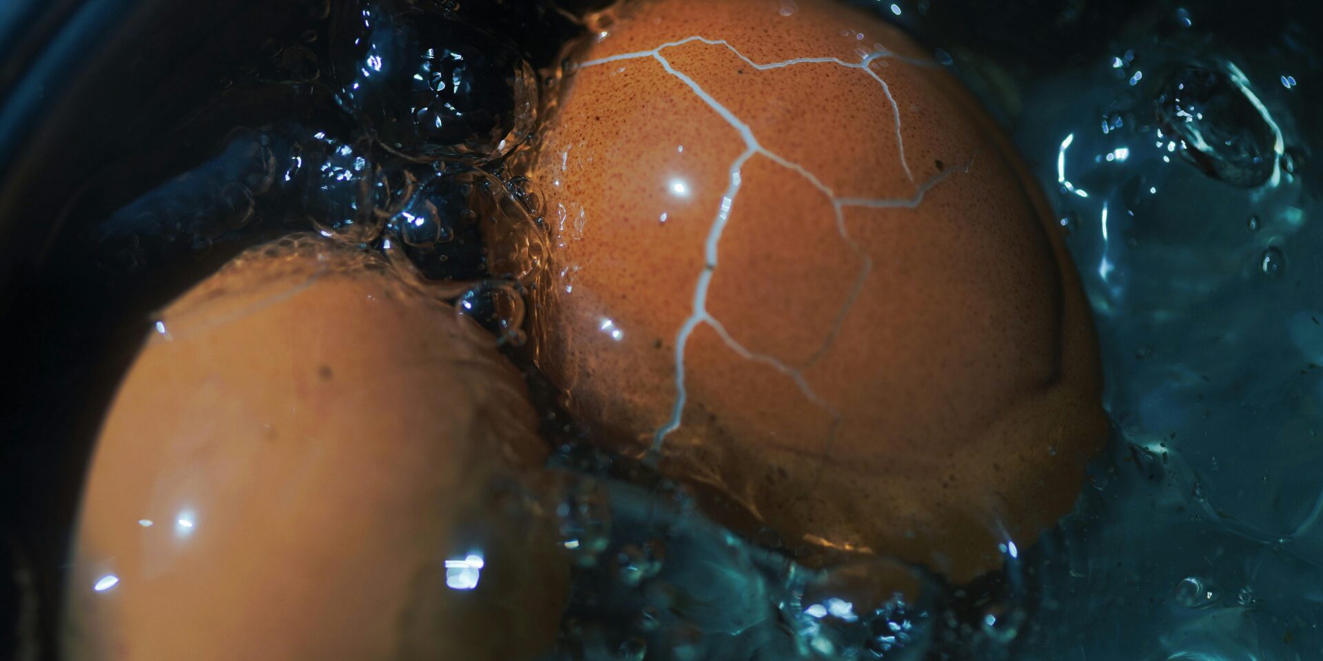 pexels-fino-36227428