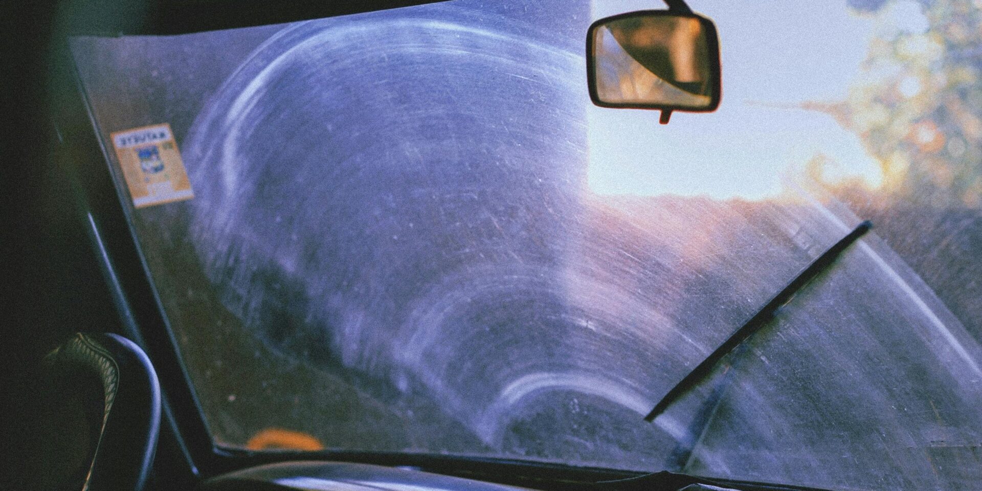 pexels-hayana-fernanda-3280725-9303687