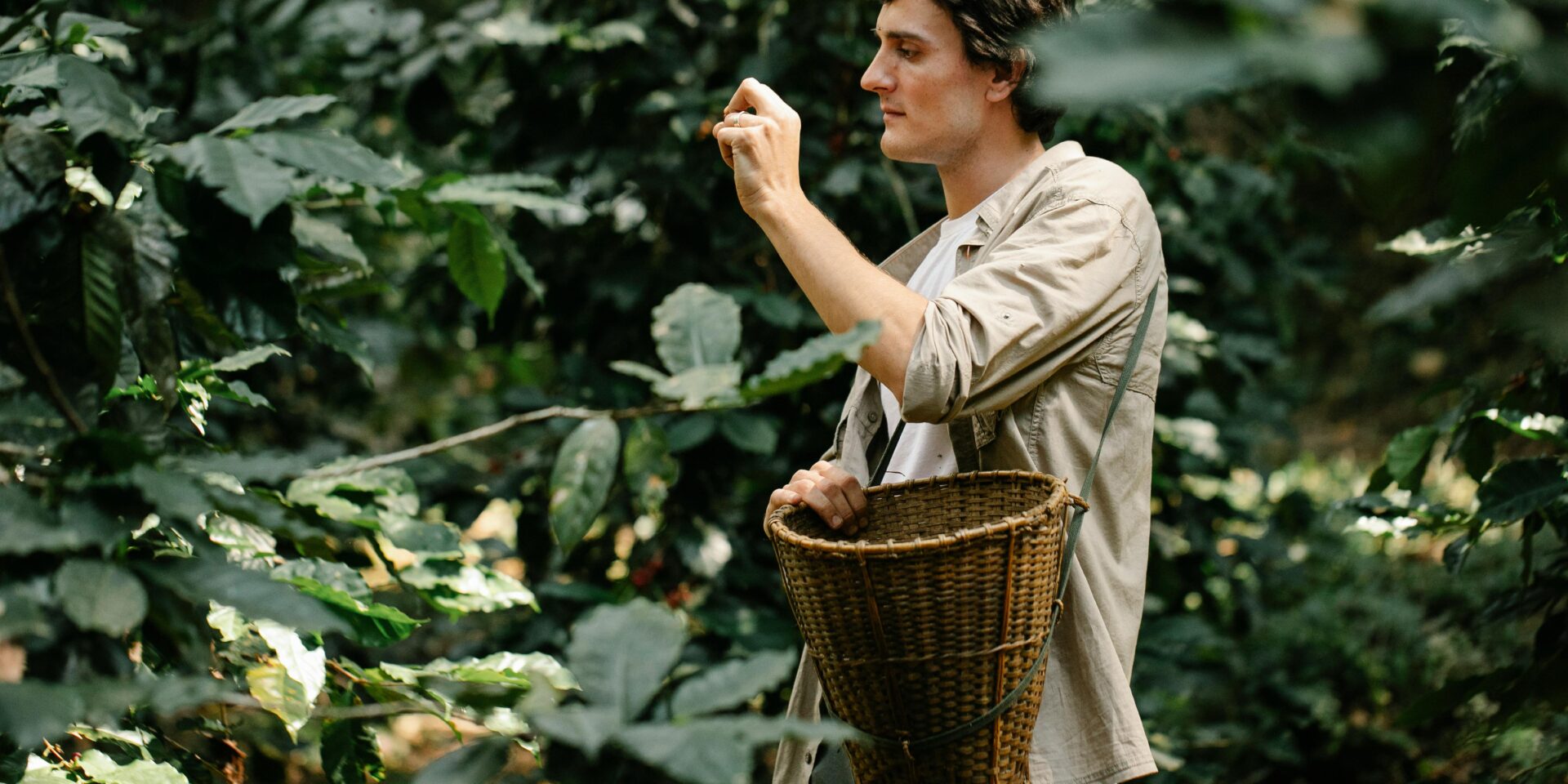 pexels-michael-burrows-7125438