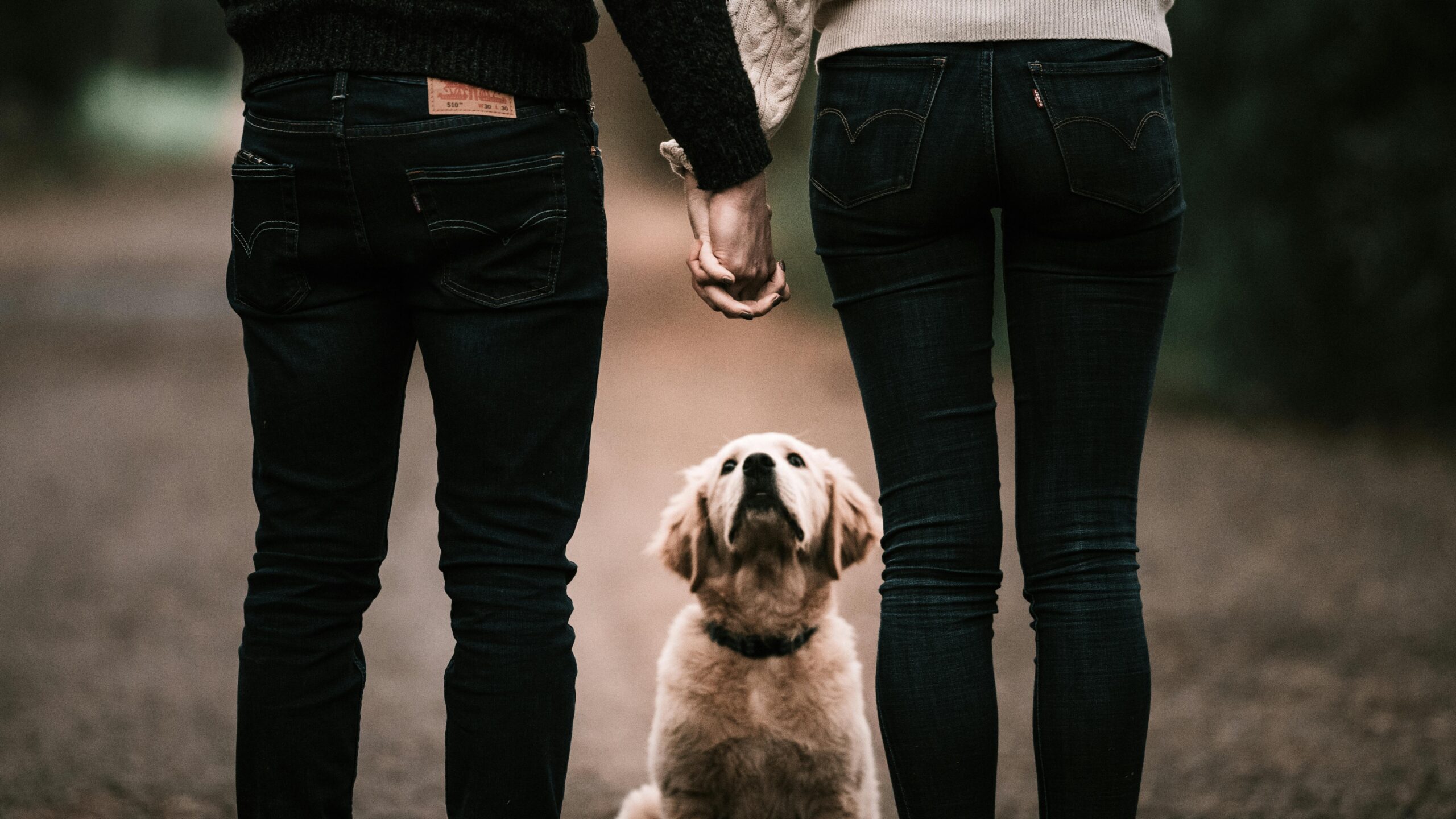 pexels-taryn-elliott-4426407