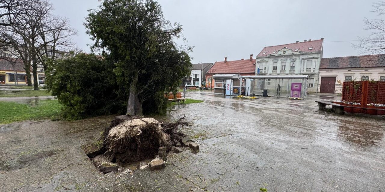 vatrogasci_i_sluzbe_na_terenu_vremenske_neprilike_i_dalje_izazivaju_probleme_5