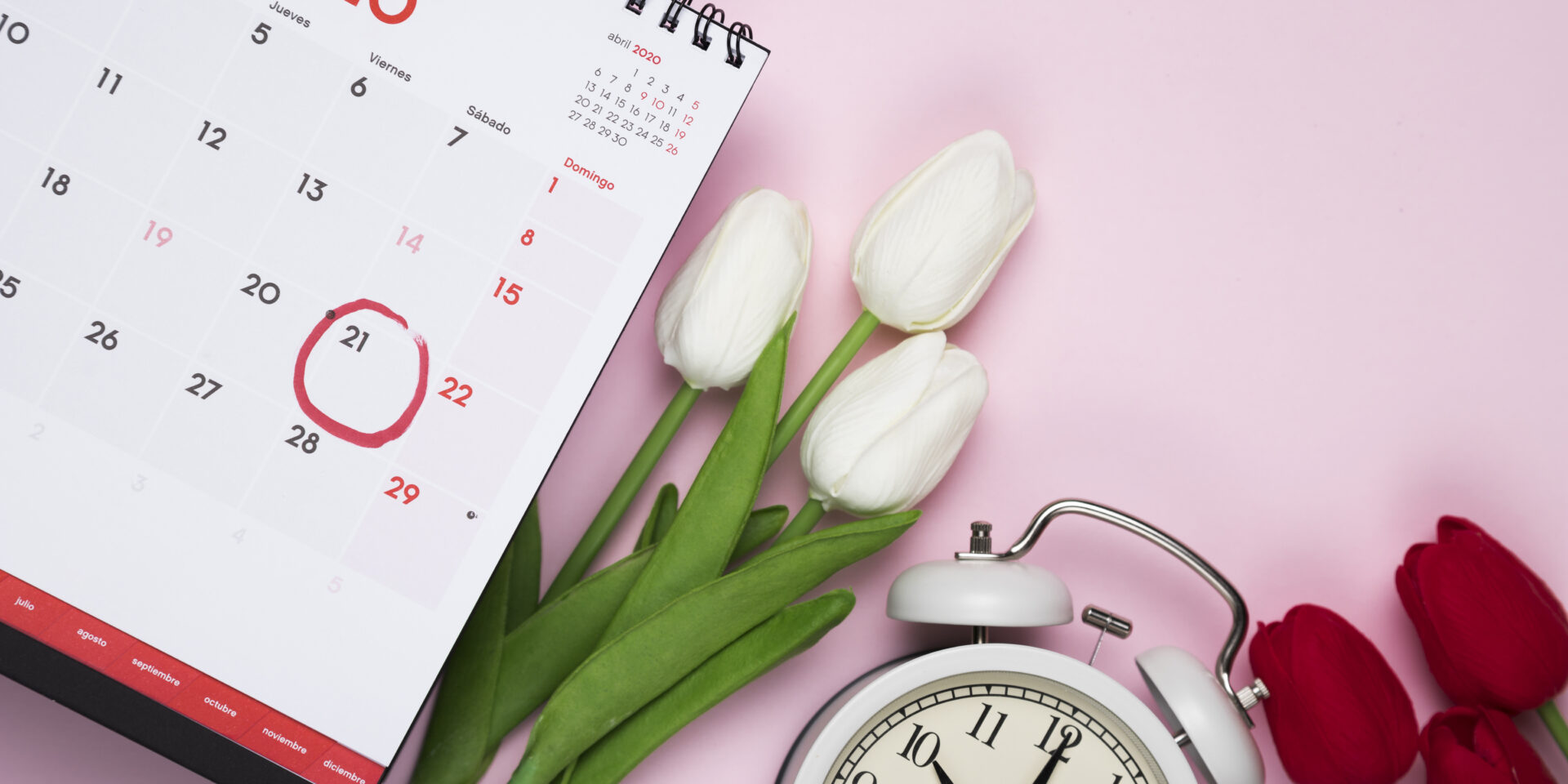 white-red-tulips-beside-calendar-clock