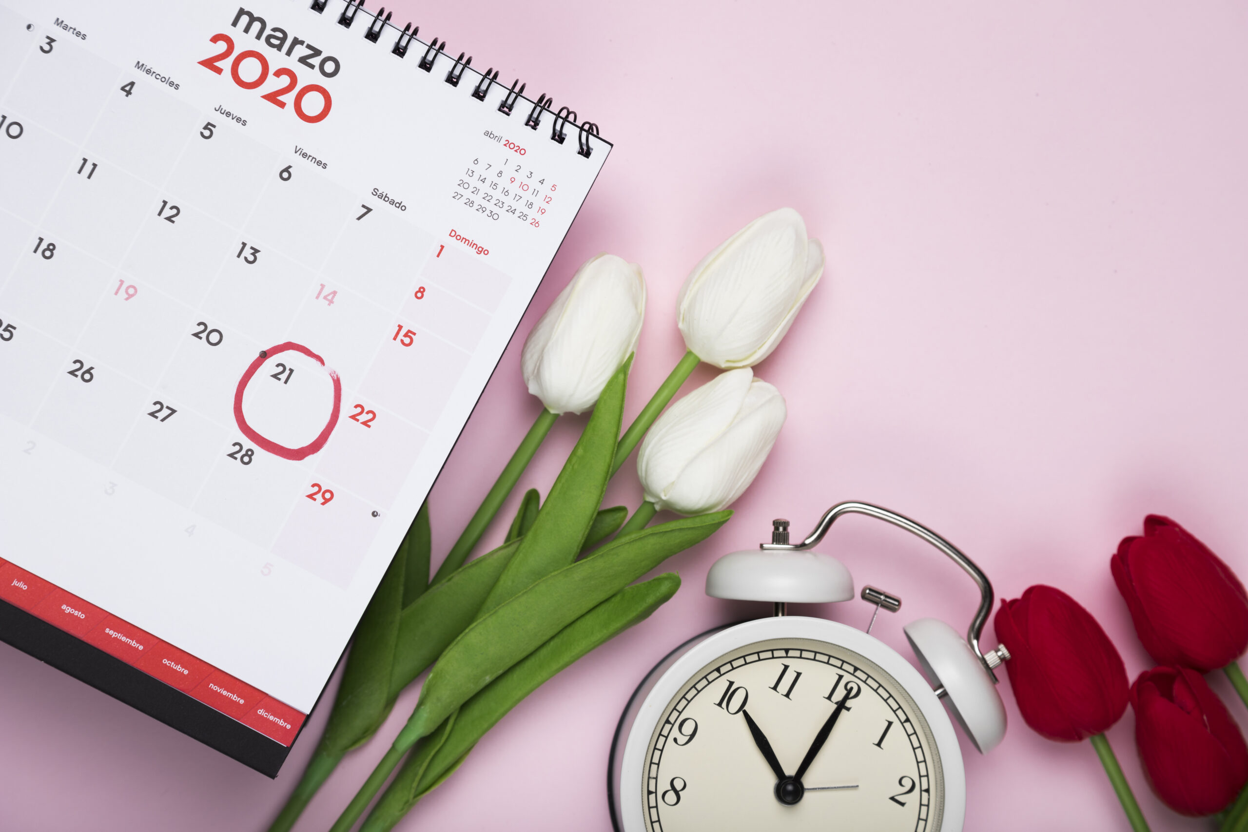 white-red-tulips-beside-calendar-clock