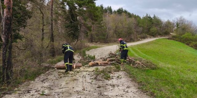 660294295_122170194680901348_362411989197604520_n.jpg__648x432_q85_crop_subsampling-2_upscale