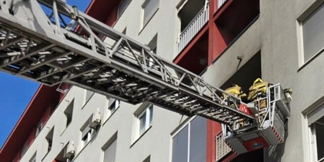 669426801_1367285882097814_3968446868593605631_n