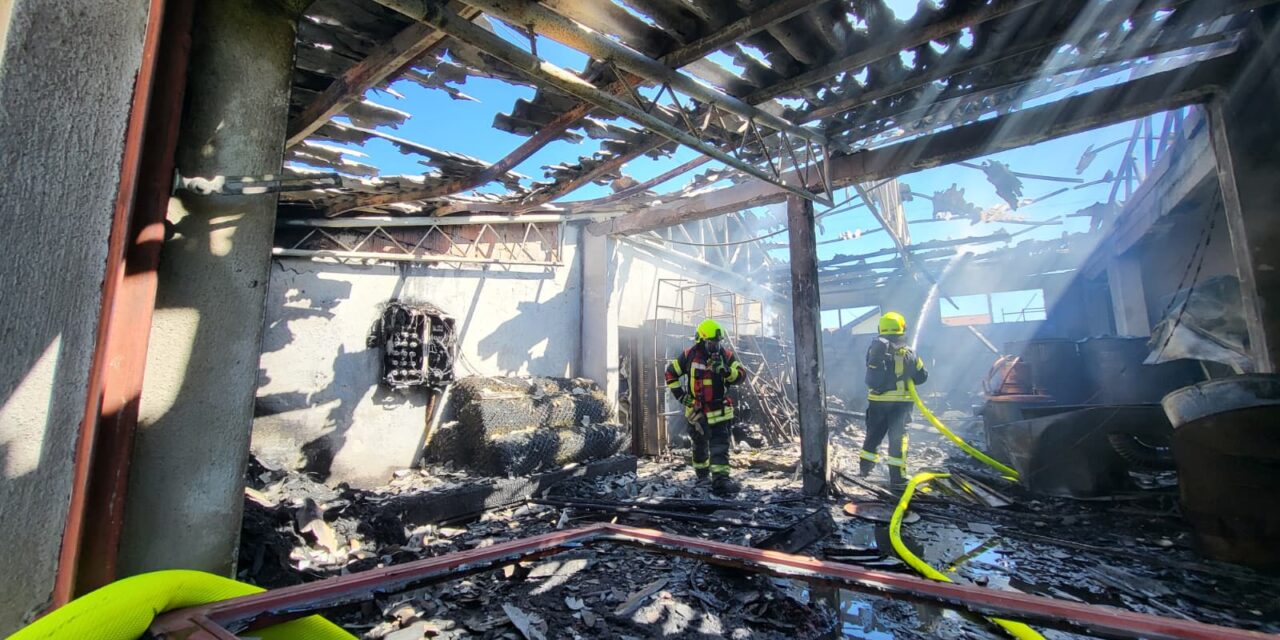 669554911_4448515005466190_4294356705220208386_n