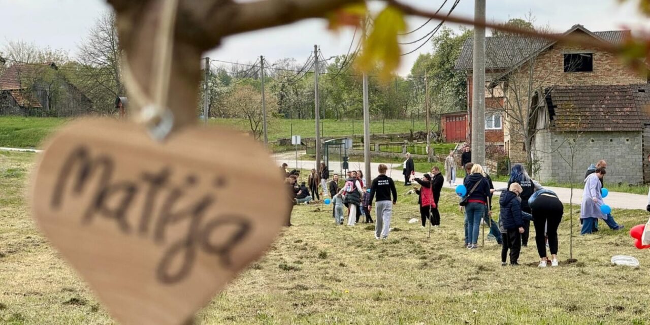 Drvored-srcekovaca4-1536×1152