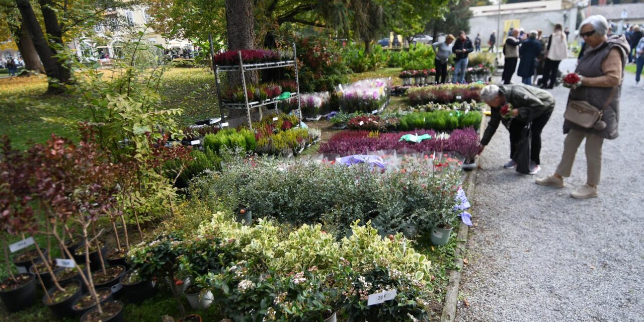 U Daruvarskim toplicama započeo jubilarni 20. Daruvarski cvjetni sajam