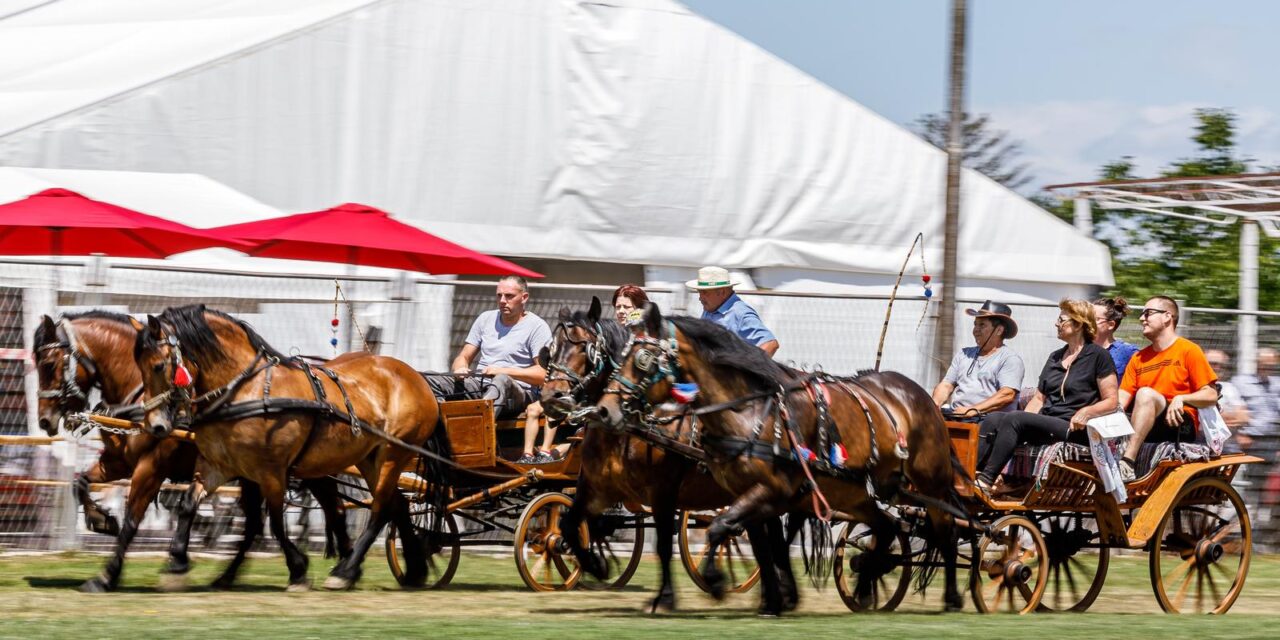 Državna izložba zaštićenih pasmina konja i konjskih zaprega