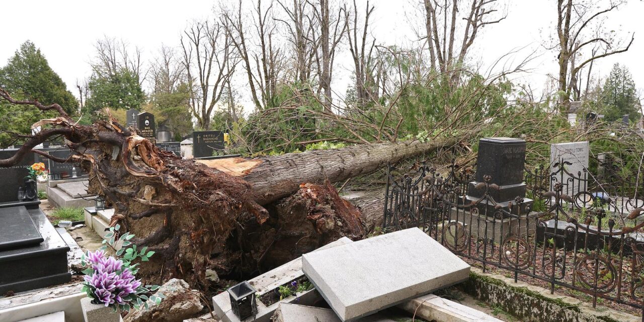 Zagreb: Posljedice velikog nevremena na Mirogoju