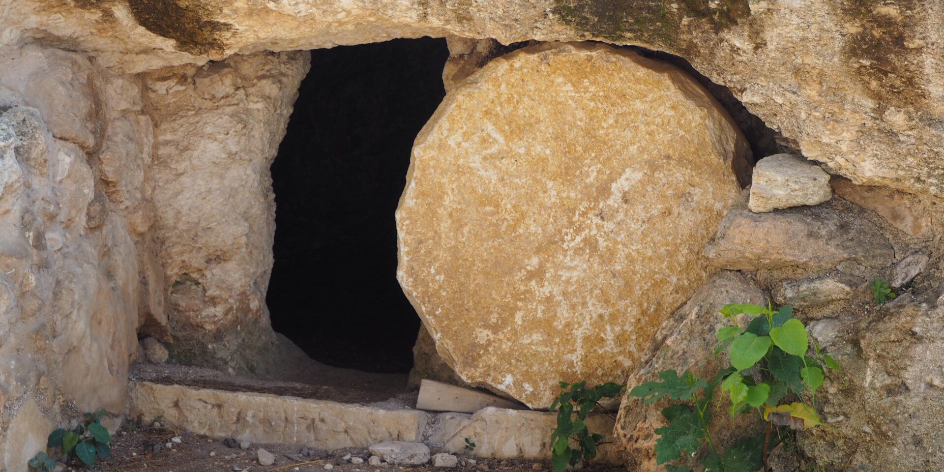 dozemode-grave-5105472