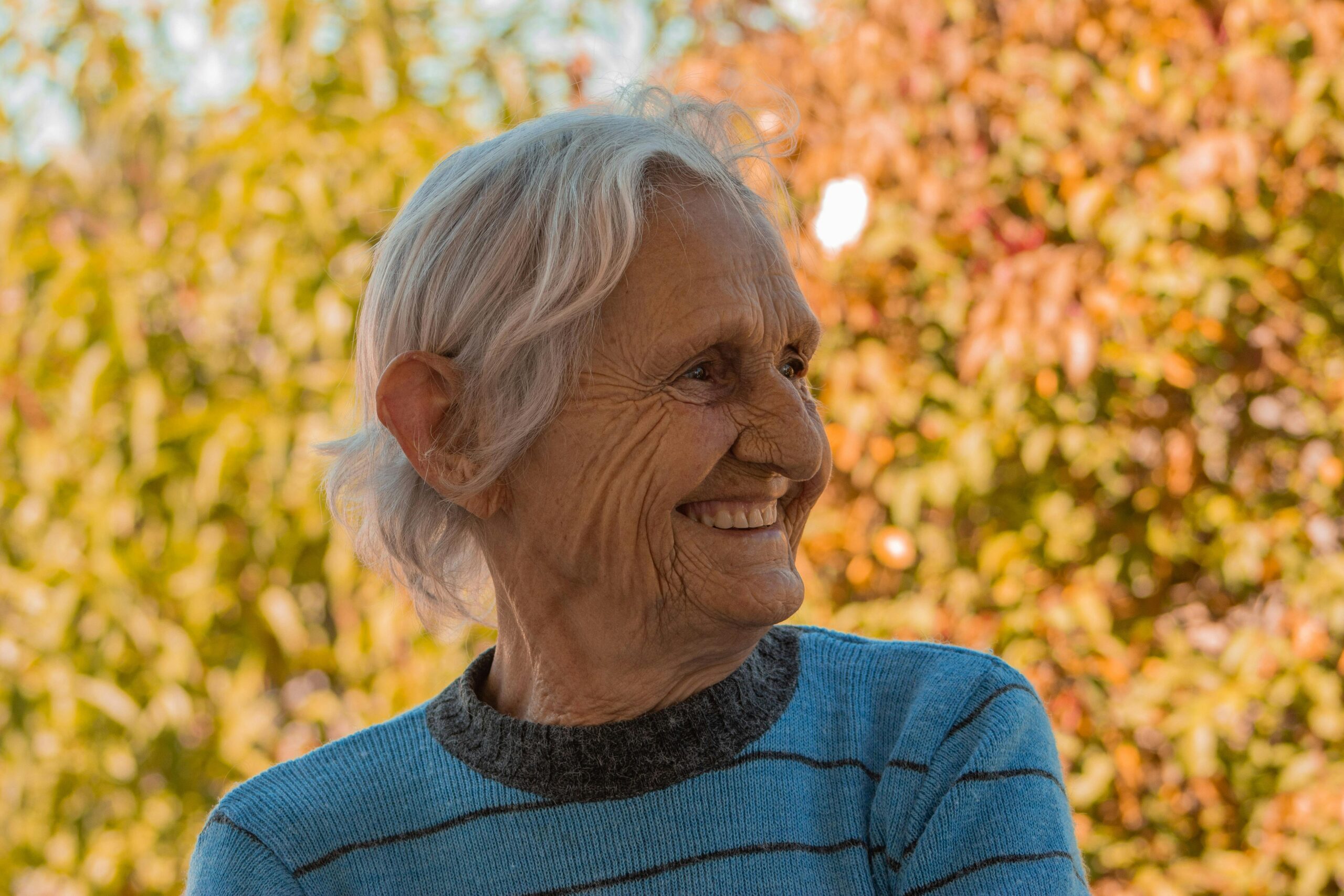 pexels-adriane-erthal-107017179-11883419