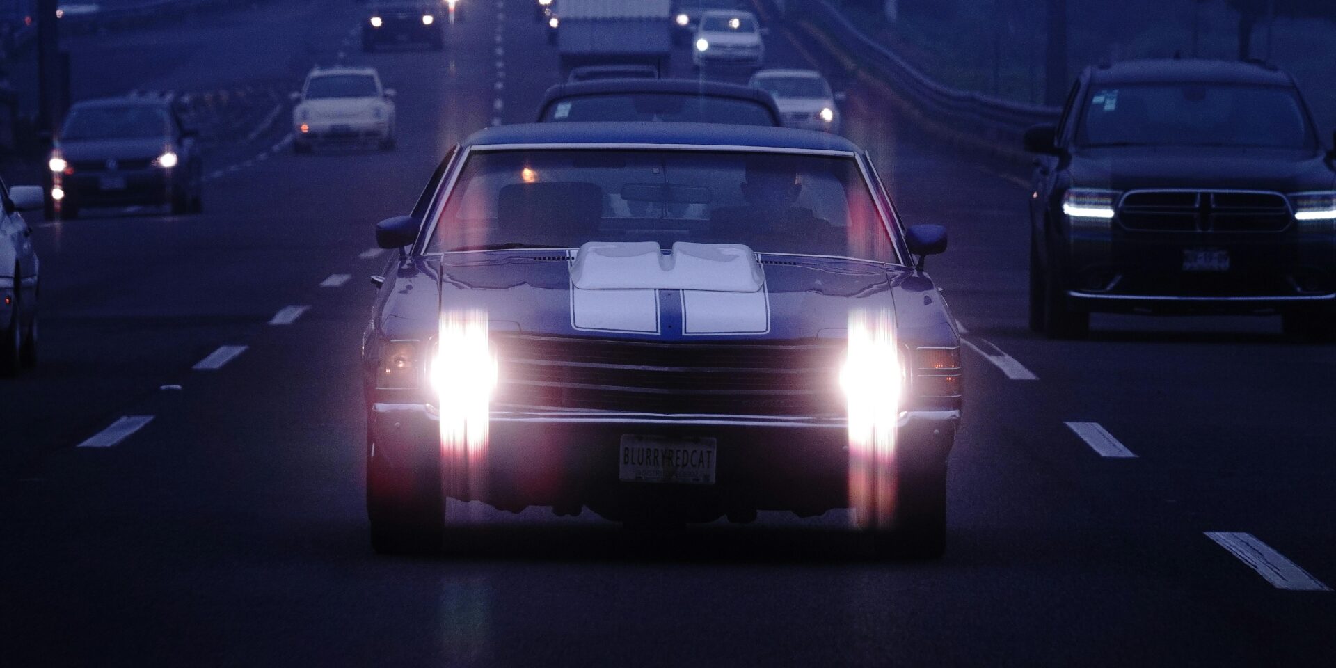 pexels-blurryredcat-14673241