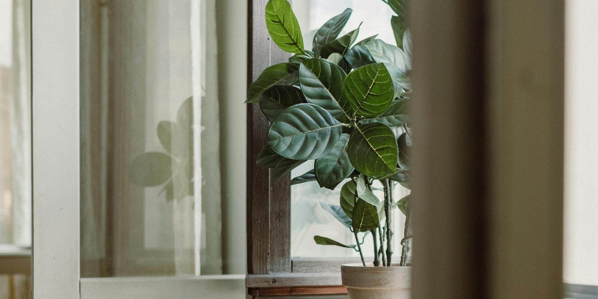 pexels-cottonbro-10254333