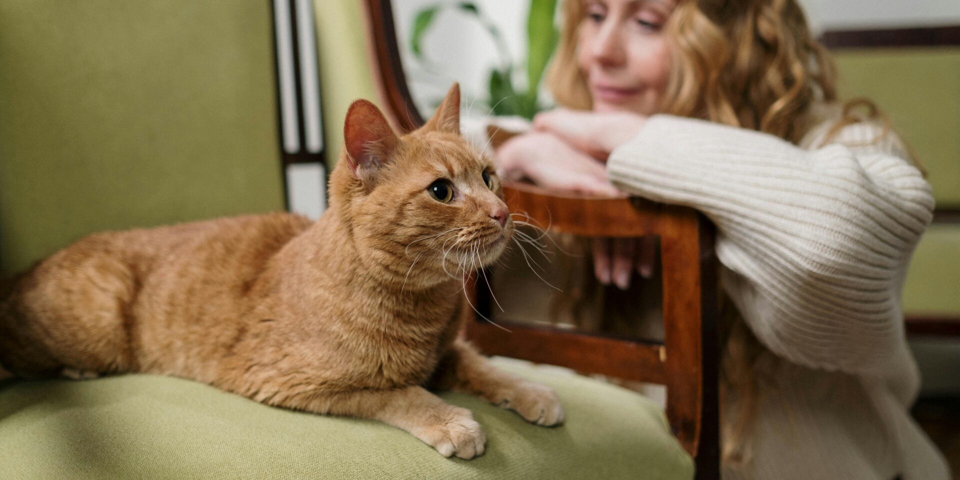 pexels-cottonbro-6865178