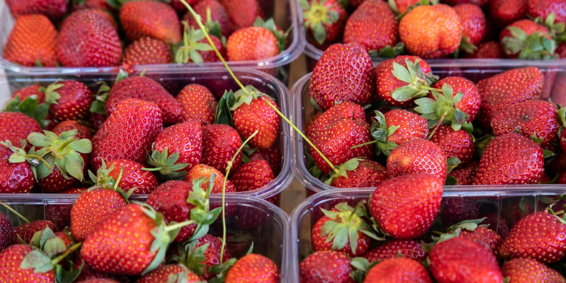 pexels-enginakyurt-4399938