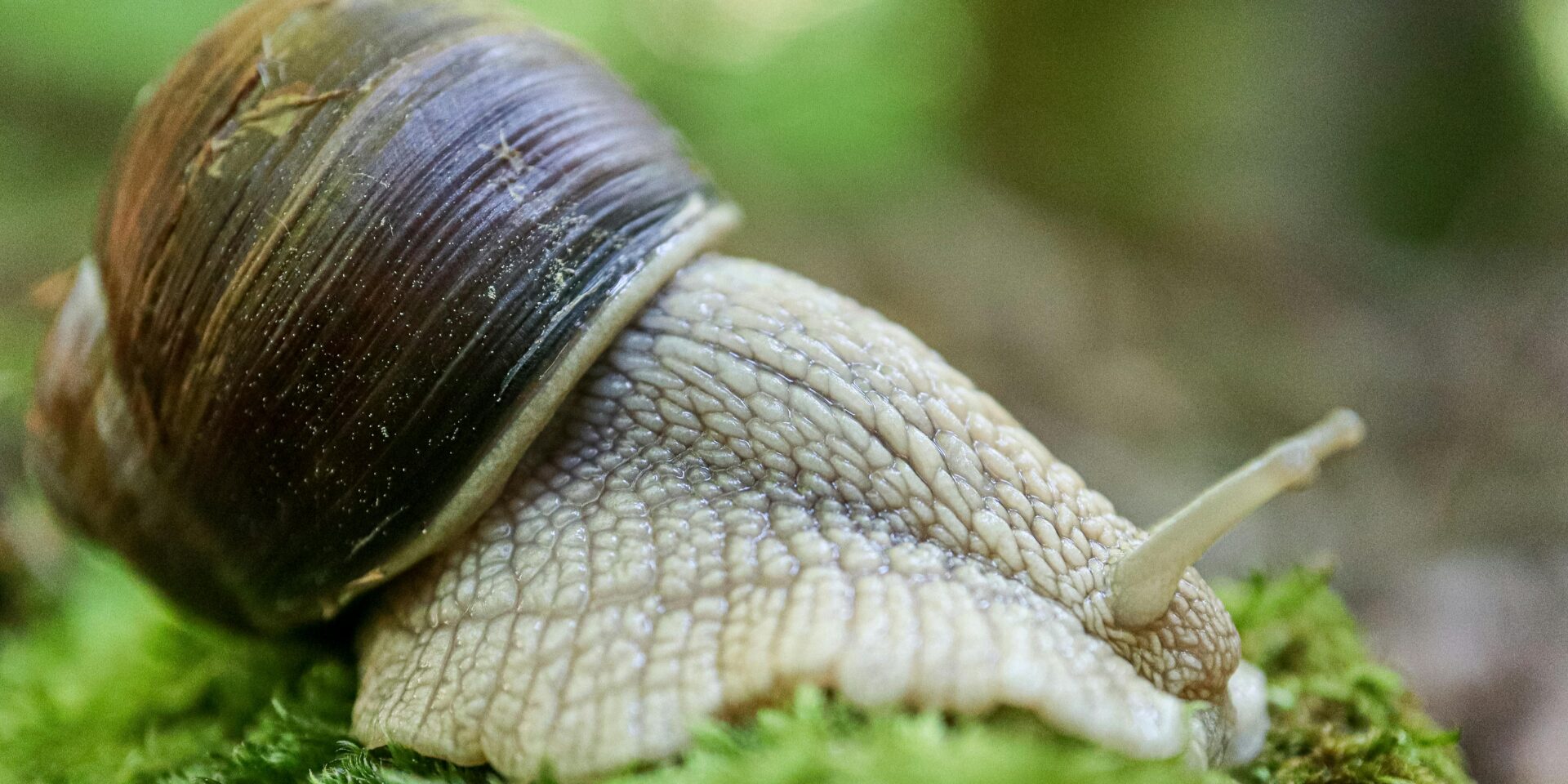 pexels-nikola-tomasic-58494762-32171291