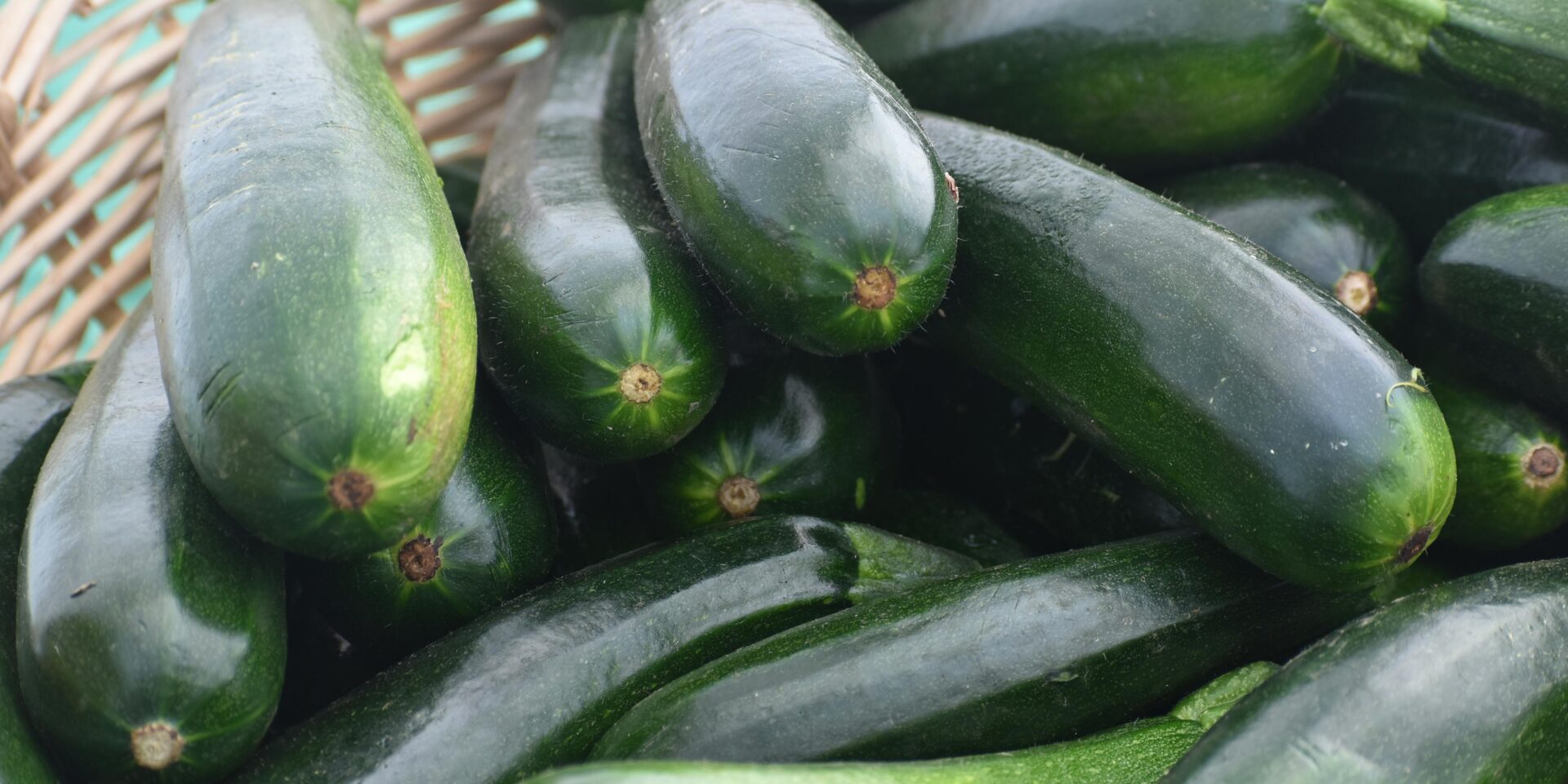 pexels-wr-heustis-310270240-28543250